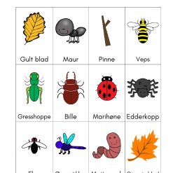 Alternative view of Turbingo