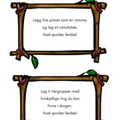 Alternative view of Uteskole - Sporløs ferdsel i skogen