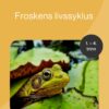 Froskens livssyklus – Flerfaglig arbeidshefte, 1.-4. trinn